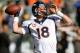 OAKLAND, CA - DECEMBER 29: Peyton Manning #18 of the Denver Broncos warms up during pre-game warm ups prior to playing the Oakland Raiders at O.co Coliseum on December 29, 2013 in Oakland, California. (Photo by Thearon W. Henderson/Getty Images)