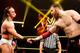 The tag team division likely awaits Adrian Neville and Sami Zayn once they get called up.