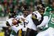 Henry Burris rears back to throw in the 2013 Grey Cup.