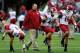 TUSCALOOSA, AL - OCTOBER 19: Head coach Bret Bielema of the Arkansas Razorbacks walks the field during pregame warmups prior to facing the Alabama Crimson Tide at Bryant-Denny Stadium on October 19, 2013 in Tuscaloosa, Alabama. (Photo by Kevin C. Cox/Ge