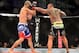 Oct 9, 2013; Barueri, Sao Paulo, Brazil; Thiago Silva (black shorts) fights against Matt Hamill (blue shorts) during UFC Fight Night 29 at Jose Correa Arena. Mandatory Credit: Jason Silva-USA TODAY Sports