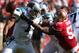 Nov 10, 2013; San Francisco, CA, USA; San Francisco 49ers outside linebacker Ahmad Brooks (55) extends for a sack against Carolina Panthers quarterback Cam Newton (1) during the first quarter at Candlestick Park. Mandatory Credit: Kelley L Cox-USA TODAY S