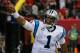 The Panthers edged the 49ers in the regular season, but this is the playoffs now.