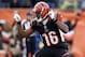 Dec 29, 2013; Cincinnati, OH, USA; Cincinnati Bengals wide receiver Andrew Hawkins (16) celebrates during the game against the Baltimore Ravens in the second half at Paul Brown Stadium. Cincinnati defeated Baltimore 34-17. Mandatory Credit: Mark Zerof-USA
