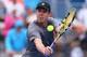 SYDNEY, AUSTRALIA - JANUARY 07: Sam Querrey of the United States plays a backhand in his match against Vasek Pospisil of Canada during day three of the 2014 Sydney International at Sydney Olympic Park Tennis Centre on January 7, 2014 in Sydney, Australia.