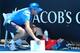 MELBOURNE, AUSTRALIA - JANUARY 14: A ballboy faints in the heat, as Melbourne heads towards 43 degrees celsius during day two of the 2014 Australian Open at Melbourne Park on January 14, 2014 in Melbourne, Australia. (Photo by Chris Hyde/Getty Images)
