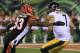 The Bengals won't be using the franchise tag on Michael Johnson this year. At $13 million, it would take up half of their cap space.