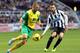 Norwich will need to be at their very best to cope with an in-form Newcastle side.