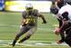 EUGENE, OR - NOVEMBER 16: Running back Thomas Tyner #24 of the Oregon Ducks runs with the ball during the fourth quarter of the game against the Utah Utes at Autzen Stadium on November 16, 2013 in Eugene, Oregon. (Photo by Steve Dykes/Getty Images)