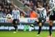 NEWCASTLE UPON TYNE, ENGLAND - OCTOBER 19: Yohan Cabaye of Newcastle United shoots towards goal during the Barclays Premier League match between Newcastle United and Liverpool at St James' Park on October 19, 2013 in Newcastle upon Tyne, England. (Photo