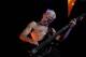 I'm not sure Flea owns a shirt.