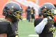 Bulldogs fans will be anticipating seeing this duo take the field.