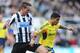 NEWCASTLE UPON TYNE, ENGLAND - FEBRUARY 01: Liam Bridcutt of Sunderland is challenged by Michael Williamson of Newcastle during the Barclays Premier League match between Newcastle United and Sunderland at St James' Park on February 1, 2014 in Newcastle u