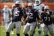 Chandler Jones (95) had plenty to celebrate about as he broke out in his rookie season.