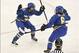 Feb 15, 2014; Sochi, RUSSIA; Sweden forward Lina Wester (13) celebrates her goal with Sweden defenseman Lina Backlin (6) against Finland in a women's quarterfinals ice hockey game during the Sochi 2014 Olympic Winter Games at Shayba Arena. Mandatory Credi