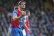 LONDON, ENGLAND - FEBUARY 08: Scott Dann of Palace organises the defence during the Barclays Premier League match between Crystal Palace and West Bromwich Albion at Selhurst Park on Febuary 08, 2014 in London, England. (Photo by Charlie Crowhurst/Getty Im