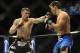 Feb 22, 2014; Las Vegas, NV, USA; Rory MacDonald (red gloves) throws a punch at Demian Maia (blue gloves) during their UFC welterweight bout at Mandalay Bay. MacDonald won by way of a 29-28 decision. Mandatory Credit: Stephen R. Sylvanie-USA TODAY Sports