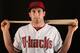 SCOTTSDALE, AZ - FEBRUARY 19: Paul Goldschmidt #44 of the Arizona Diamondbacks poses for a portrait during spring training photo day at Salt River Fields at Talking Stick on February 19, 2014 in Scottsdale, Arizona. (Photo by Christian Petersen/Getty Im