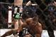 Aug 17, 2013; Boston, MA, USA; Travis Browne (rear) celebrates his win over Alistair Overeem during a UFC heavyweight match at the TD Garden. Brown won by knockout in one round. Mandatory Credit: Winslow Townson-USA TODAY Sports