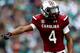 South Carolina WR Shaq Roland