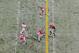 The Buckeyes have to go from being around the ball to denying passes.