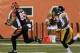 Tyler Eifert was thought to be a target for the Steelers in 2013 draft.