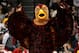 Keep flappin, bird.