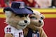 LOS ANGELES, CA - DECEMBER 5: Arizona Wildcats mascots Wilbur the Wildcat and Wilma The Wildcat pose during the game between the Arizona Wildcats and the USC Trojans on December 5, 2009 at the Los Angeles Coliseum in Los Angeles, California. Arizona won