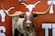 AUSTIN, TX - OCTOBER 10: Bevo, the mascot of the Texas Longhorns, stands in his corner during a game against the Colorado Buffaloes on October 10, 2009 at Darrell K Royal-Texas Memorial Stadium in Austin, Texas. Texas won 38-14. (Photo by Brian Bahr/Ge