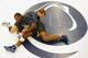 STATE COLLEGE, PA - NOVEMBER 07: UFC light heavyweight fighter Phil Davis works out with Penn State 165-weight senior wrestler David Taylor during the '20 days to UFC 167' media tour at the Lorenzo Wrestling Complex on the campus of Penn State University