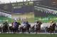 There is nothing quite like the thrill-a-minute of Dubai World Cup day.
