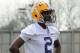 LSU wide receiver Avery Peterson