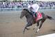 Ron the Greek is the 5-1 second choice in the Dubai World Cup.