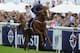 The 2013 Epsom Derby winner Ruler of the World is the 9-2 morning line favorite.