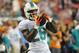 TAMPA, FL - NOVEMBER 11: Running back Lamar Miller #26 of the Miami Dolphins grabs a warmup pass before play against the Tampa Bay Buccaneers November 11, 2013 at Raymond James Stadium in Tampa, Florida. (Photo by Al Messerschmidt/Getty Images)