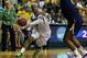 Mar 24, 2014; Waco, TX, USA; Baylor Bears guard Odyssey Sims (0) drives against California Golden Bears forward Reshanda Gray (21) in the second half of a women's college basketball game in the second round of the NCAA Tournament at the Ferrell Center. Th