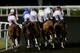 DUBAI, UNITED ARAB EMIRATES - JANUARY 09: Horses goes around the first bend during the first Longines Carnival Meeting at the Meydan Racecourse on January 9, 2014 in Dubai, United Arab Emirates. (Photo by Francois Nel/Getty Images)