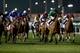 DUBAI, UNITED ARAB EMIRATES - JANUARY 23: Shane Foley riding Certerach wins Race 2, GN Focus during the third Dubai World Cup Carnival Meetingduring the third Dubai World Cup Carnival Meeting at the Meydan Racecourse on January 23, 2014 in Dubai, Unite