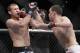 Diaz found his range early against Cerrone
