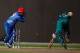 DUBAI, UNITED ARAB EMIRATES - NOVEMBER 24: Mohammad Shezad of Afghanistan attempts to run out Duncan Allan (R) of Kenya during the ICC World Twenty20 Qualifier between Afghanistan and Kenya at the Sharjah Cricket Stadium on November 24, 2013 in Dubai, Un