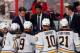 SUNRISE, FL - MARCH 7: Interim Head Coach Ted Nolan of the Buffalo Sabres directs his team from the bench against the Florida Panthers at the BB&T Center on March 7, 2014 in Sunrise, Florida. (Photo by Eliot J. Schechter/NHLI via Getty Images)