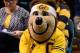 LAS VEGAS, NV - MARCH 13: California Golden Bears mascot Oski the Bear sits on the baseline during a quarterfinal game of the Pac-12 Basketball Tournament against the Colorado Buffaloes at the MGM Grand Garden Arena on March 13, 2014 in Las Vegas, Nevada