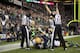 SEATTLE, WA - SEPTEMBER 24: Wide receiver Golden Tate #81 of the Seattle Seahawks makes a catch in the end zone to defeat the Green Bay Packers on a controversial call by the officials at CenturyLink Field on September 24, 2012 in Seattle, Washington. (