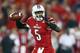 LOUISVILLE, KY - OCTOBER 18: Teddy Bridgewater #5 of the Louisville Cardinals throws a pass during the game against the Central Florida Knights at Papa John's Cardinal Stadium on October 18, 2013 in Louisville, Kentucky. (Photo by Andy Lyons/Getty Image