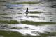 DHAKA, BANGLADESH - APRIL 03: An umpire walks out to inspect the flooded field after heavy rain drenched the ground during the ICC World Twenty20 Bangladesh 2014 1st Semi-Final match between Sri Lanka and the West Indies at Sher-e-Bangla Mirpur Stadium o