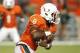 Duke Johnson