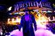 Undertaker at WrestleMania 30