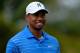 PALM BEACH GARDENS, FL - FEBRUARY 27: Tiger Woods looks on during the first round of The Honda Classic at PGA National Resort and Spa on February 27, 2014 in Palm Beach Gardens, Florida. (Photo by Stuart Franklin/Getty Images)