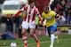 STOKE ON TRENT, ENGLAND - APRIL 12: Dan Gosling of Newcastle United competes with Geoff Cameron of Stoke City during the Barclays Premier League match between Stoke City and Newcastle United at Britannia Stadium on April 12, 2014 in Stoke on Trent, Engla