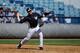 3B Rob Segedin